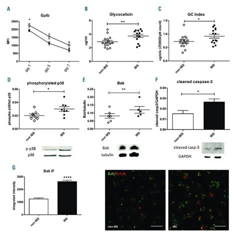 Uv Irradiation Of Platelets Induces Bak Protein Expression Through Mrna