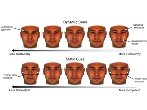 Changing Faces We Can Look More Trustworthy But Not More Competent