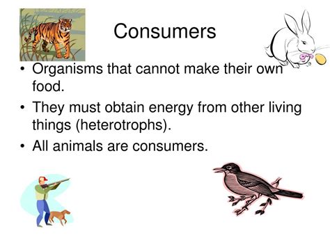 Ppt Interdependence Of Living Things Powerpoint Presentation Free