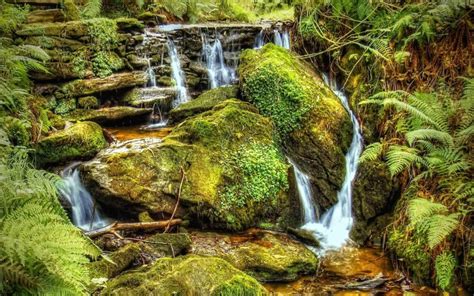 Waterfalls Streams River Stones Moss Rocks Nature Plants 1920×1200