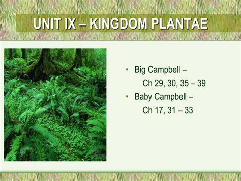 Ppt Kingdom Plantae Ruang Ilmu