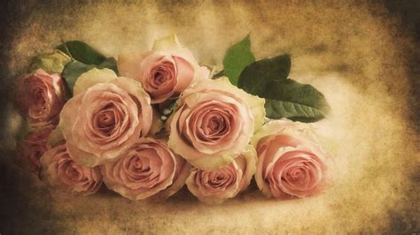 Vintage Roses Wallpapers Wallpaper Cave