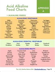 Here’s how to get started. Official Alkaline Diet Site Launches Organic Food Store
