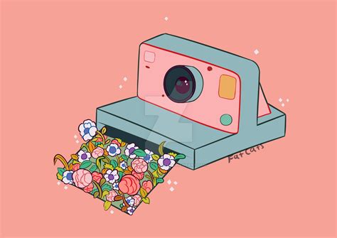 Polaroid Camera By Kingoffatcats On Deviantart