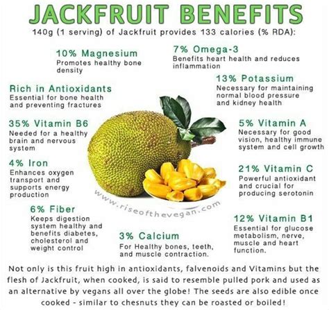 Whats All This Hype About Jackfruit Jackfruit Benefits Coconut