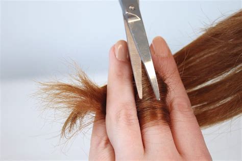 8 Ways To Get Rid Of Split Ends For Good Nutrafol