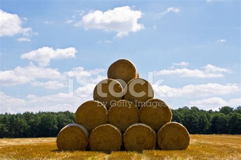 Stacked Hay Bales Stock Photo Royalty Free Freeimages
