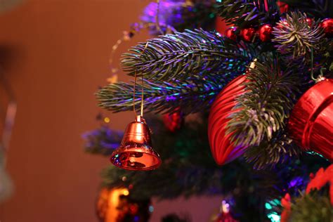 Banco De Imagens Decoração Feriado árvore De Natal Advento