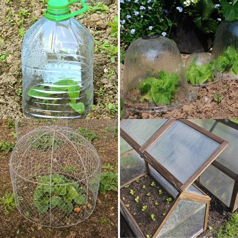 20 Garden Cloche Ideas To Protect Your Plants Many Upcycled Ideas