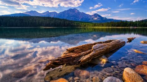 water, Landscapes, Trees, Lakes, Rivers, Reflections Wallpapers HD ...
