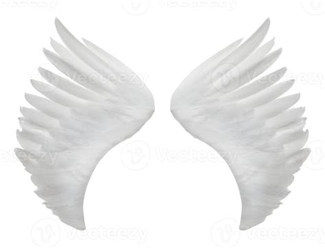 White Angel Wings 21887833 Png