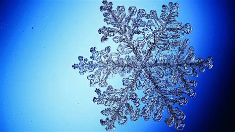 The Biggest Snowflake Ever Reported Was As Wide As A Large Pizza