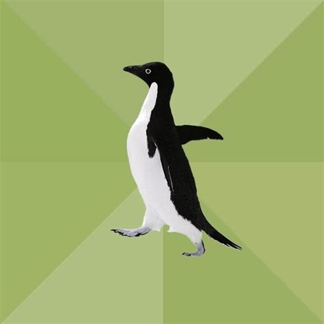 Socially Awkward Penguin Meme Generator