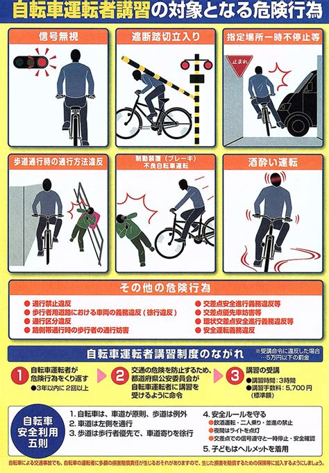自転車 信号 ルール