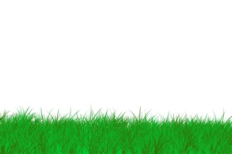 Green Grass Border Free Backgrounds And Textures