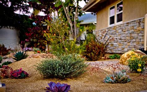 Drought Tolerant Landscape Garden In San Diego Backyard Remodel