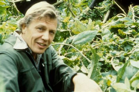 Sir David Attenboroughs Greatest Moments As Wildlife Tv Legend Turns