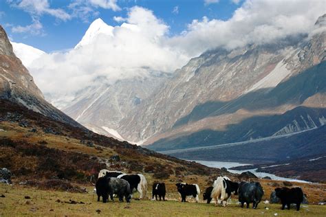 6 Epic Treks In Nepals Langtang National Park