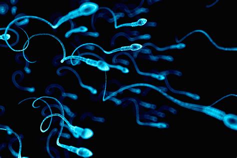Human Sperm Grown In A Lab For The First Time Claims Study New Scientist