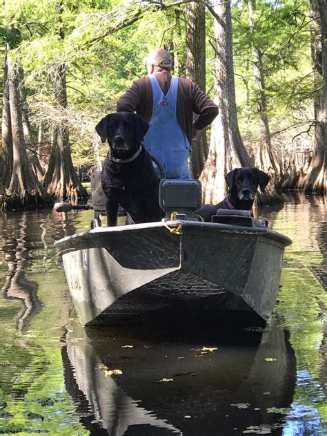 Most common cajun last names. 136 Cajun Dog Names | Cuteness