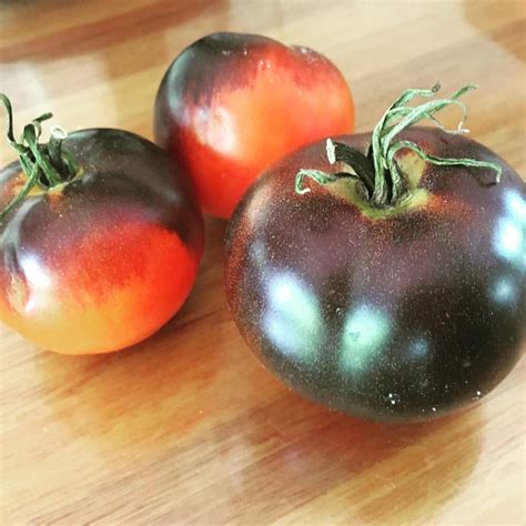 Black Tomatoes Natural Suburbia