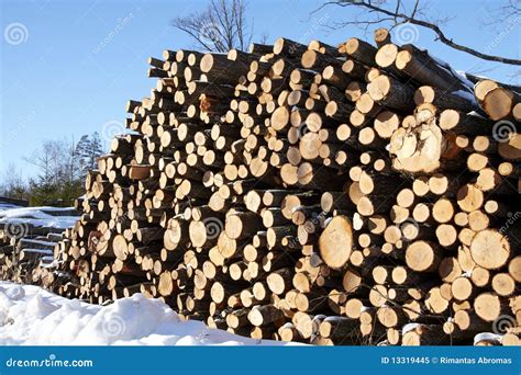 Piles Of Wood In Forest Stock Image Image Of Splinters 13319445