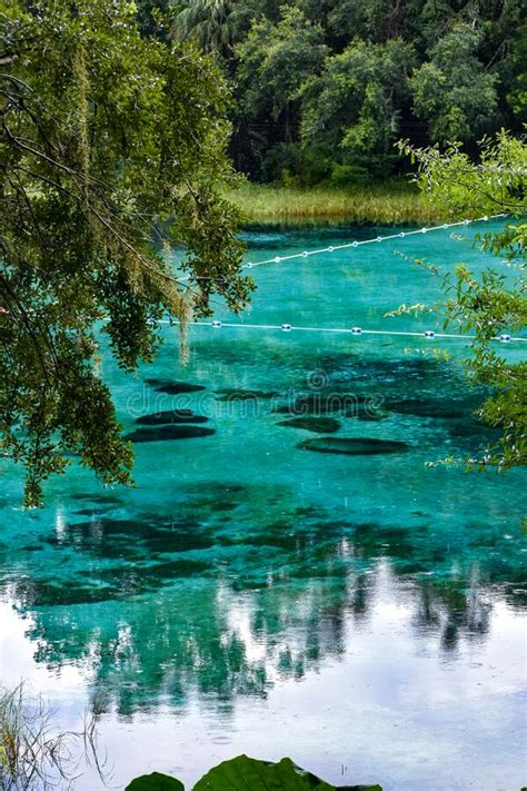 Rainy Day At Rainbow Springs State Park In Florida Stock Photo Image