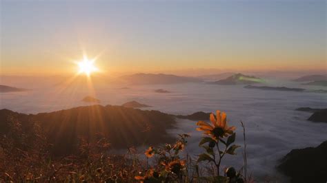 Phu Chi Fa Sunrise And The Sea Of Fog In Chiang Rai Its Better In