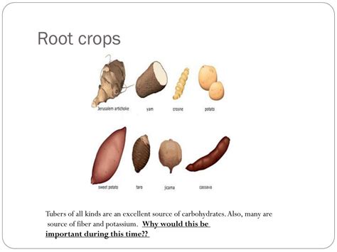 Ppt 1 St Agricultural Revolution Powerpoint Presentation Free