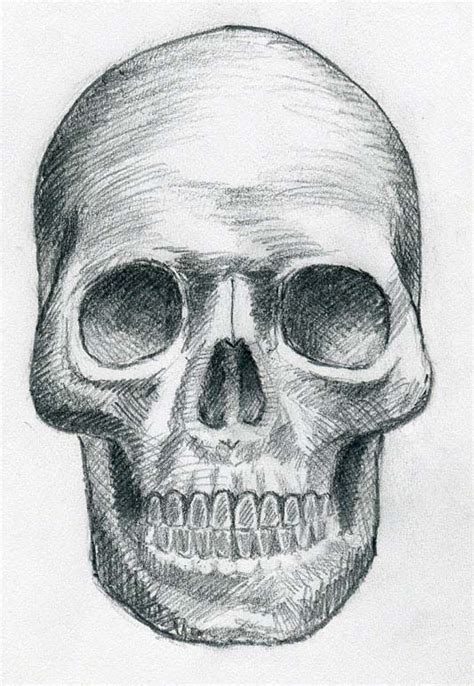 How to draw a skull. Skull Drawing | 3D Drawing