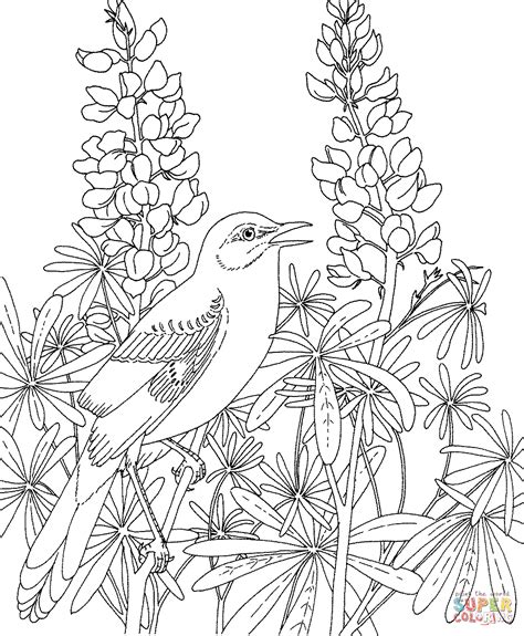 Mockingbird And Bluebonnet Texas State Bird And Flower Coloring Page