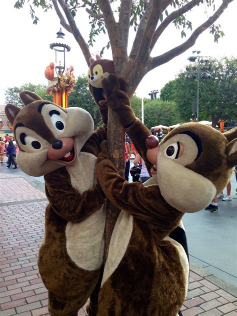 Two People Dressed As Chipmuns Standing Next To A Tree