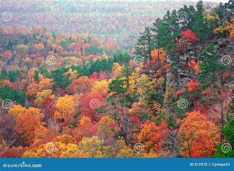 Autumn Color In The Ozarks Stock Photo Image Of Leaves 972978
