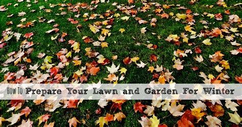 How To Prepare Your Lawn And Garden For Winter Fall Gardening Tips