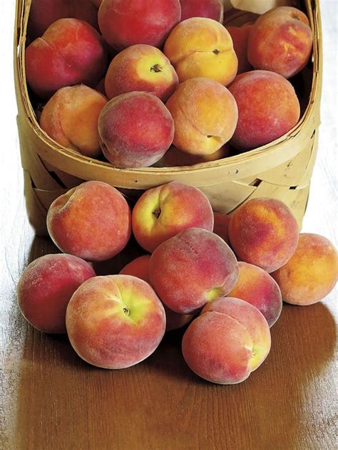 Sc Expecting Strong Peach Crop