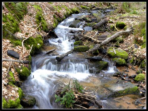 Bachlauf Im Edenkobener Tal Foto And Bild Landschaft Bach Fluss And See