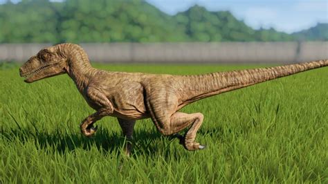 Velociraptor Jurassic World Evolution Wiki Fandom Jurassic Park World Jurassic World