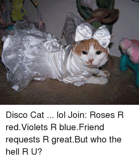 The popular country song, louisiana saturday night i see has a bunch of memes on. Disco Cat Has Caturday Night Fever | Meme on ME.ME