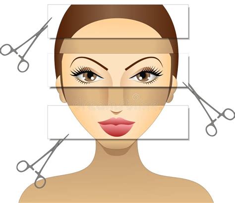 Plastic Surgery Diva Stock Illustration Image Of Beautify 12350369