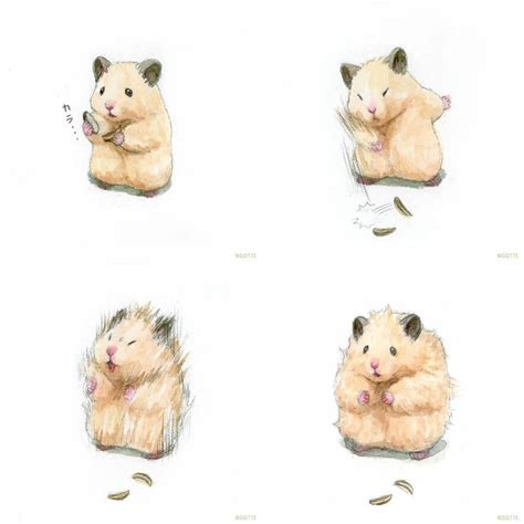 Cute Hamster Tegninger Cute Kawaii Tegninger
