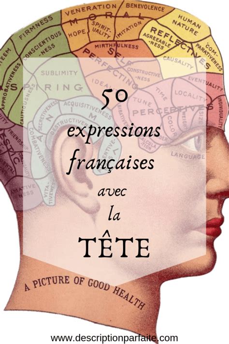 50 expressions françaises avec le mot tête description parfaite