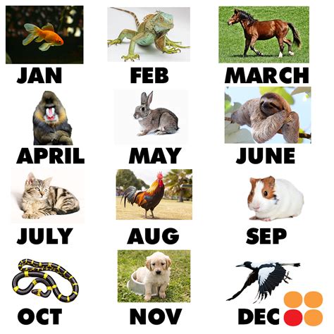 Month Animal Symbols