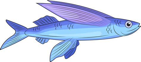 Flying Fish Clipart Png Download Full Size Clipart 5656549