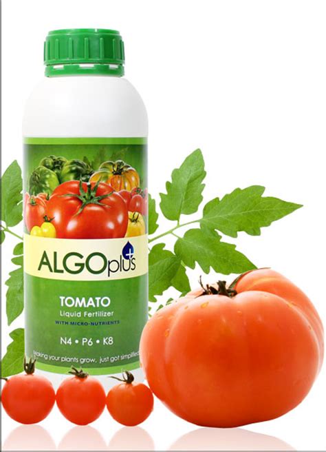 Bloom Fertilizer For Tomatoes Cromalinsupport