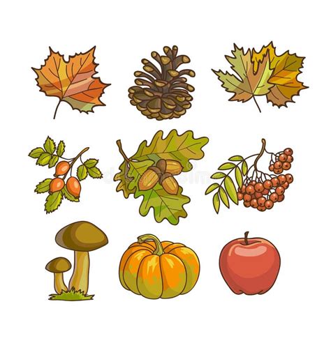 Autumn Or Fall Icon And Objects Set For Design Stock Vector