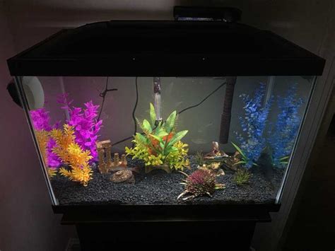 Cheap Fish Tanks The Best And Most Affordable Fish Tanks 2021