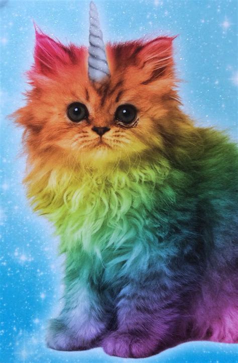Magical Unicorn Rainbow Kitten Rainbow Kittens Rainbow Cat Rainbow