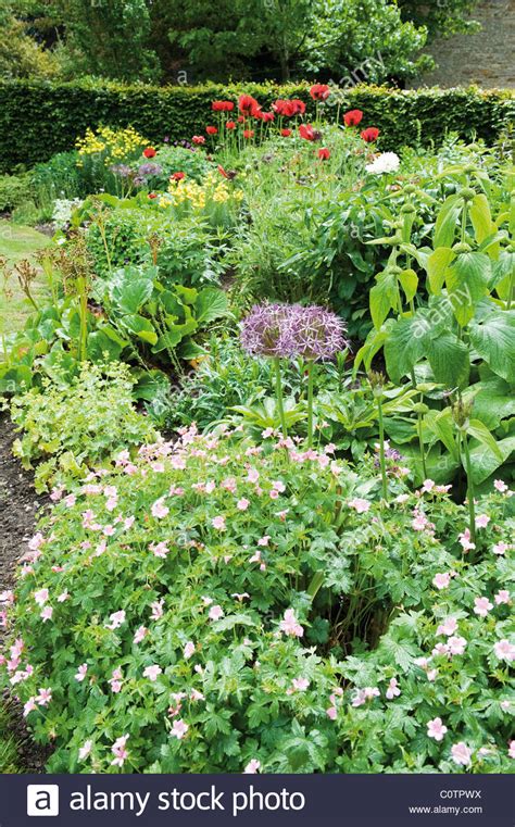 Maybe you would like to learn more about one of these? Wunderschönen englischen Garten Pflanzen und Blumen ...