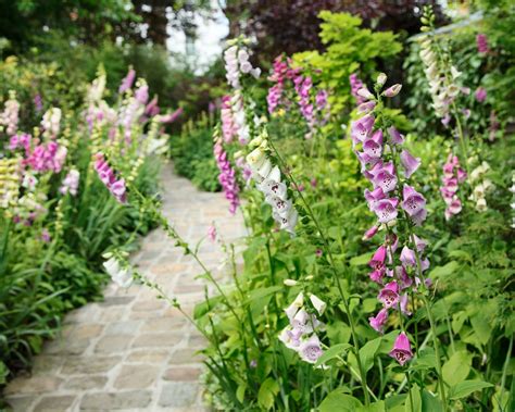 English garden ideas – 11 design tips to get a classic or more informal