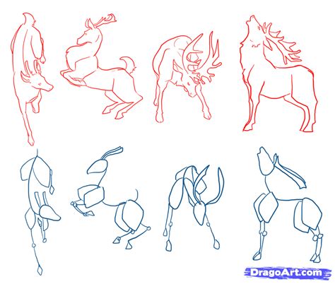 How To Draw Deer Drawing Deer Step By Step Forest